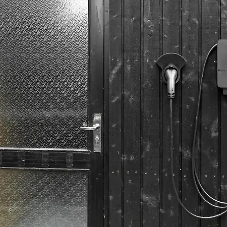 Bv357-blavand-ved-skoven-3 * ブラーバンド